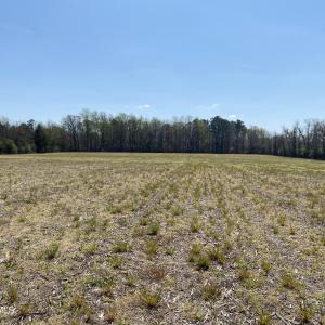 000 Poore Farm Road - 4