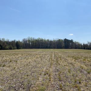 000 Poore Farm Road - 1