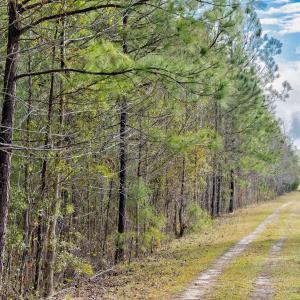 4-web-or-mls-5839 Sidbury Rd-104