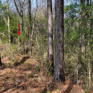 5-web-or-mls-5839 Sidbury Rd-105