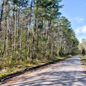 9-web-or-mls-5839 Sidbury Rd-109