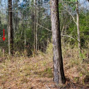 6-web-or-mls-5839 Sidbury Rd-106