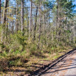 10-web-or-mls-5839 Sidbury Rd-110