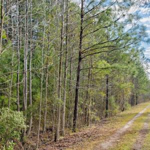 3-web-or-mls-5839 Sidbury Rd-103 - Copy