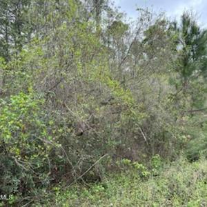 View of land