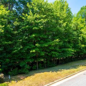 1-web-or-mls-108 Eden Glen (1 of 10)