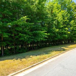 10-web-or-mls-108 Eden Glen (10 of 10)