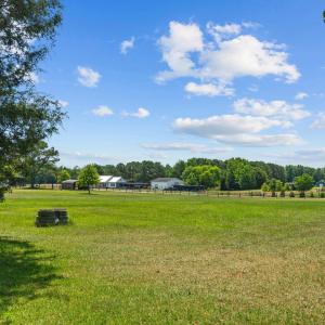 16-web-or-mls-DSC00384