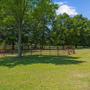 19-web-or-mls-DSC00390