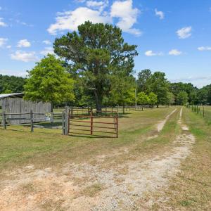 20-web-or-mls-DSC00391