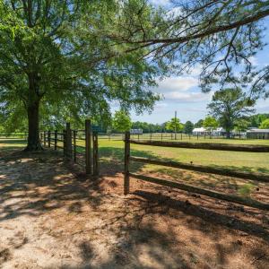 22-web-or-mls-DSC00394