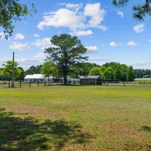 23-web-or-mls-DSC00395