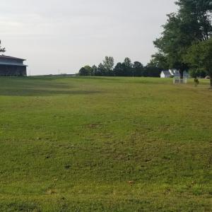 Lot view