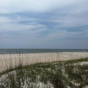 4 sandspur-4
