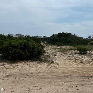 4 Sandspur-2