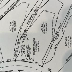 Lot 427