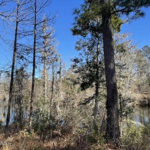 Creek View