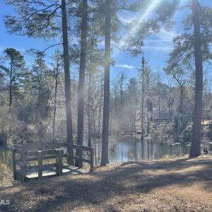 Creek View