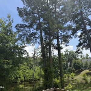 Creek View