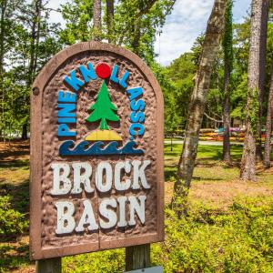 Brock Basin