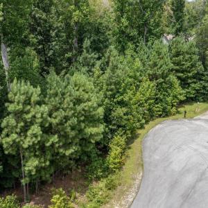 4-web-or-mls-DJI_0347