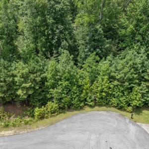 5-web-or-mls-DJI_0348