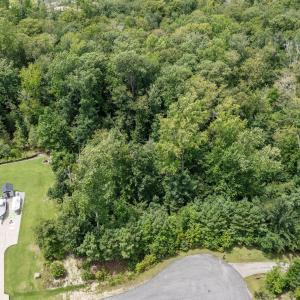 6-web-or-mls-DJI_0349