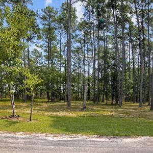 142 Broadview Point 121, Oriental, NC (2