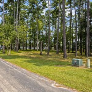 1-web-or-mls-2I3A0001