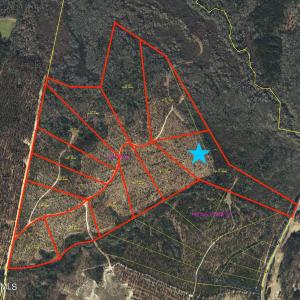 Preliminary Survey Aerial