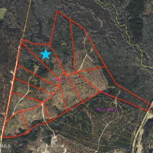 Preliminary Survey Aerial