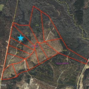 Preliminary Survey Aerial
