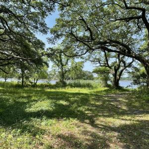 Lot 10 - Red Drum Way