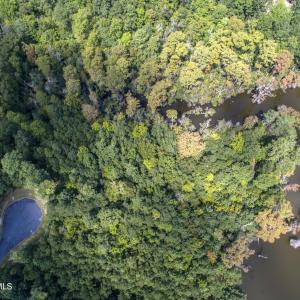 DJI_0012a