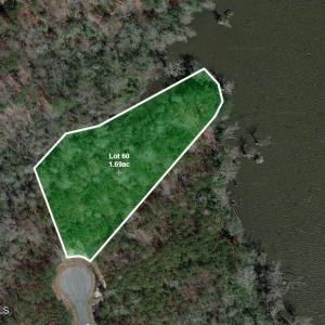 Lot60-HeritageShoresSouth-Sat