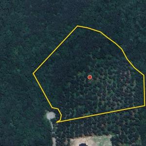 Lot 2 map