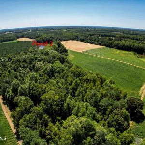 DJI_0292_pro
