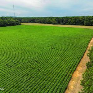 DJI_0219_pro