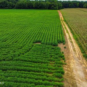 DJI_0208_pro