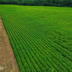 DJI_0211_pro