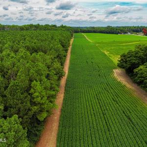 DJI_0223_pro
