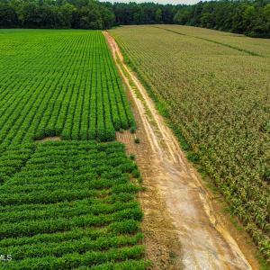 DJI_0212_pro