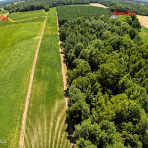 DJI_0294_pro