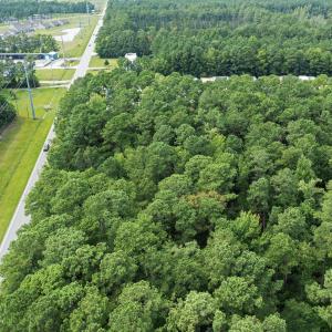 11.9 Acres