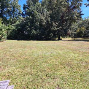 Cleared lot