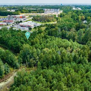 DJI_0166p