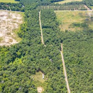 9849-B Twisted Oak Trail-Drone-8