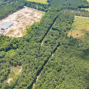 9849-B Twisted Oak Trail-Drone-9