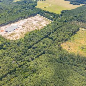 9849-B Twisted Oak Trail-Drone-10