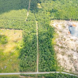 9849-B Twisted Oak Trail-Drone-15